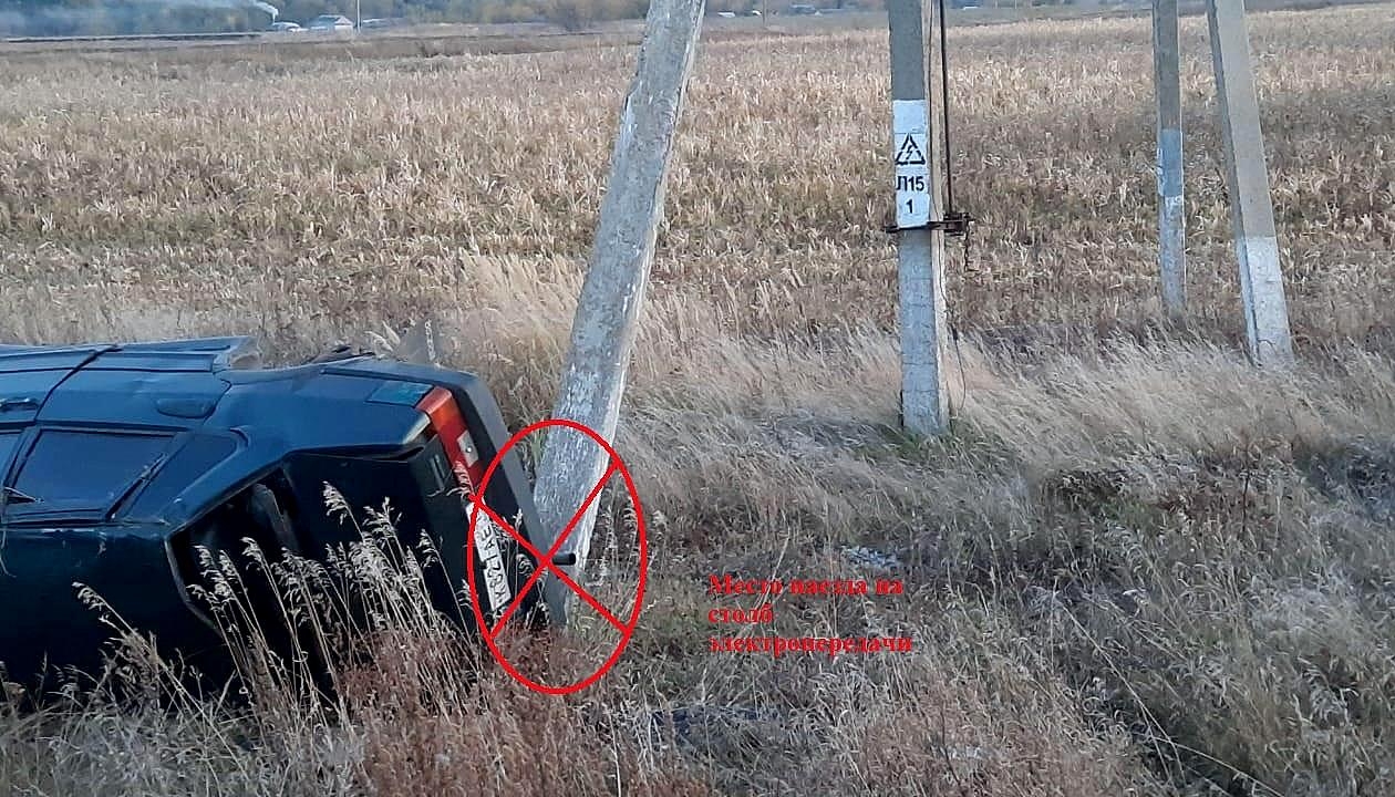 Новости в Торбеево за последние сутки