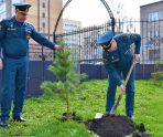 old 109694 В Мордовии спасатели высадили ели