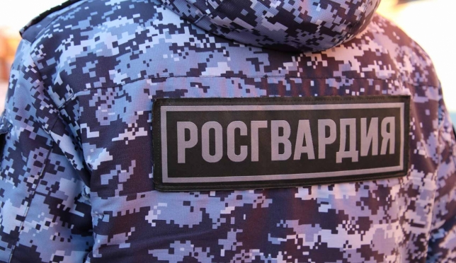 old 109697 Житель Мордовии изувечил чужой автомобиль