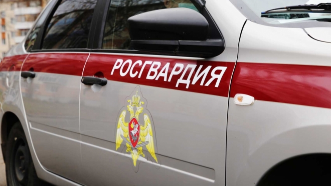 old 109835 В Мордовии задержали мужчину, находившегося в федеральном розыске