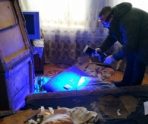 old 109870 В Ковылкинском районе мужчина, забивший знакомого до смерти, получил 10 лет
