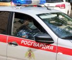 old 109873 В Ардатове росгвардейцы задержали пьяного водителя