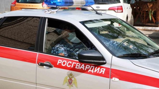 old 109873 В Ардатове росгвардейцы задержали пьяного водителя