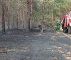 old 109886 На территории лесничества в Зубово-Полянском районе тушили пожар