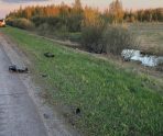 old 110014 В Торбеевском районе водитель иномарки сбил мотоциклиста и сбежал