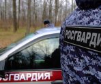 old 110055 В Саранске задержали пьяного водителя