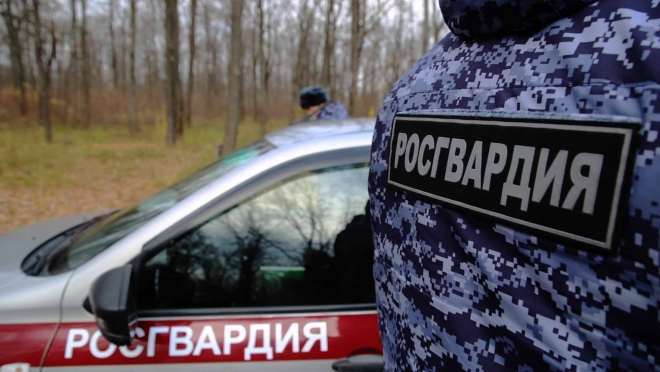 old 110055 В Саранске задержали пьяного водителя