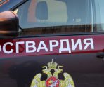 old 110113 Житель Саранска попался на попытке кражи бутылки виски