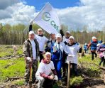 old 110303 Сотрудники Сбера приняли участие в акции «Сад Памяти»