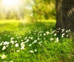 old 110377 В Саранске обсудили летнюю занятость детей, состоящих на учете в органах и учреждениях системы профилактики
