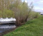 old 110475 «Лада» влетела в молоковоз в Ромодановском районе