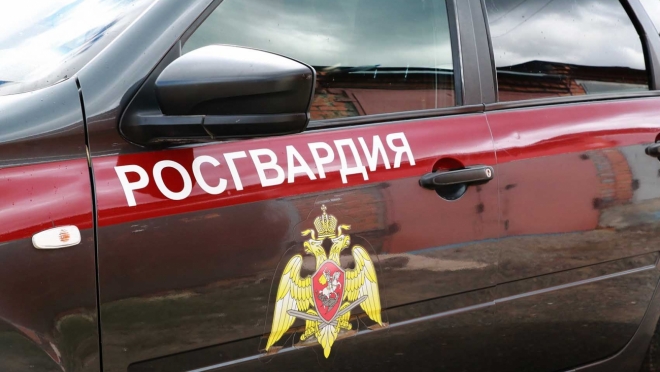 old 110529 В Мордовии росгвардейцы задержали мужчину, избившего сожительницу