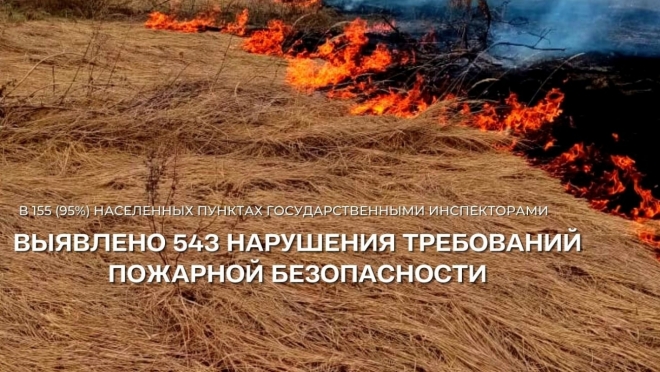 old 110788 В Мордовии в 155 населённых пунктах обнаружили 543 нарушения правил пожарной безопасности