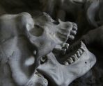old 110899 В Екатеринбурге коммунальщики нашли скелет во время замены труб