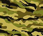 old 110911 В Саранске 631 десятиклассник поучаствует в пятидневных учебных сборах