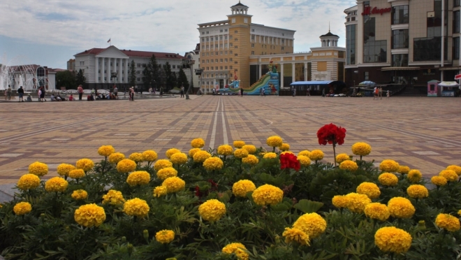 old 111416 На клумбах Саранска высаживают цветы