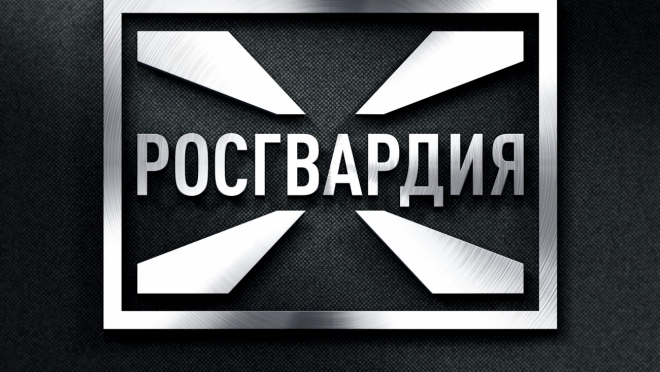 old 111620 Пенсионерка из Саранска нашла у себя в квартире обрез