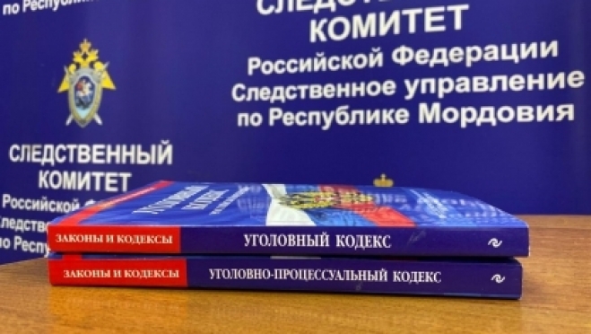 old 111818 В Чамзинском районе представителя коммерческой организации поймали на подкупе
