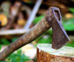 old 111888 В Большеберезниковском районе возбудили уголовное дело по факту незаконной рубки деревьев