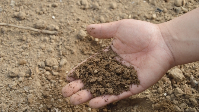 old 111984 Матвиенко: Экспорт удобрений из Белоруссии может идти через Ленобласть