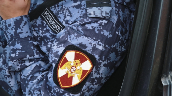 old 112113 В Зубовой Поляне задержали пьяного водителя-рецидивиста