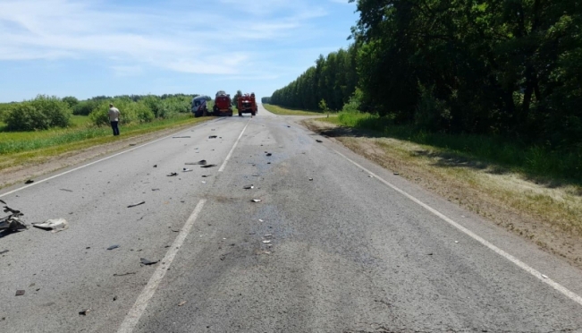 old 112207 В Ичалковском районе водитель «Лады» врезался в грузовик и погиб