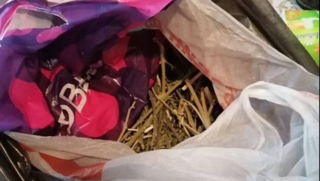 old 112301 Житель Ельниковского района пойдет под суд за выращивание конопли