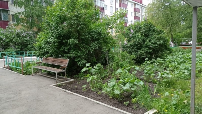 old 112457 В Саранске мужчина ударил ножом знакомого