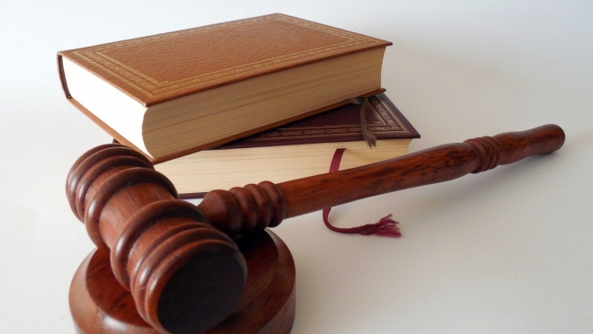 old 112546 18-летний житель Мордовии пойдет под суд за кражу кроликов