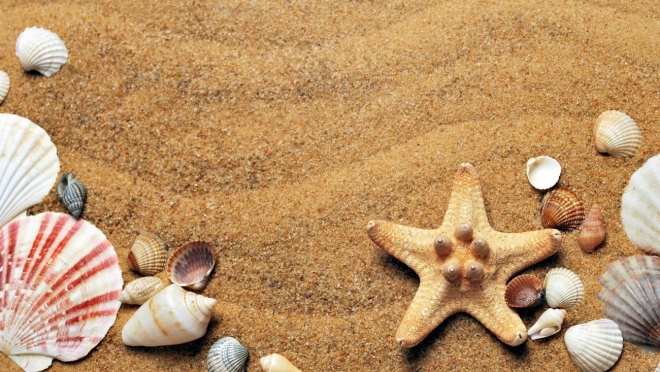 old 112662 С начала лета на курортах Краснодарского края отдохнули около 4 млн человек