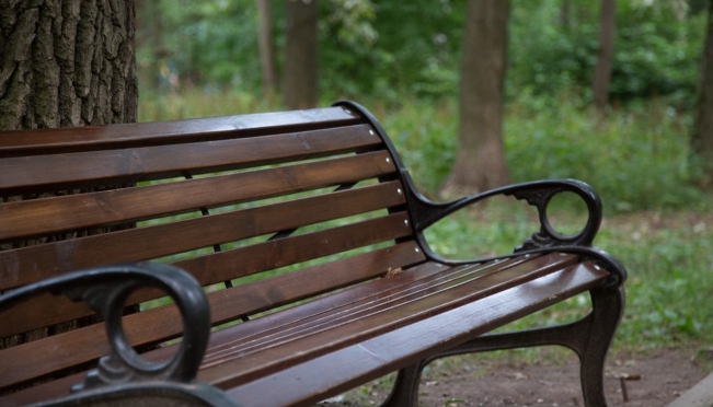 old 112730 В Рузаевке полицейские задержали укравшего лавочку с территории музея под открытым небом