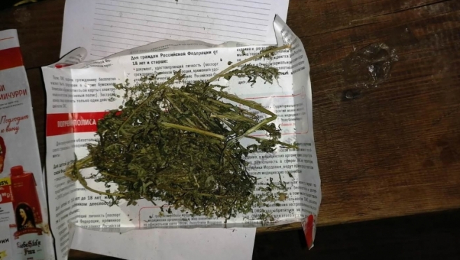 old 112846 Житель Мордовии получил срок за хранение наркотиков