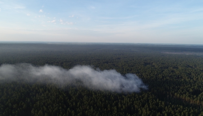 old 112886 В Мордовском заповеднике произошел пожар
