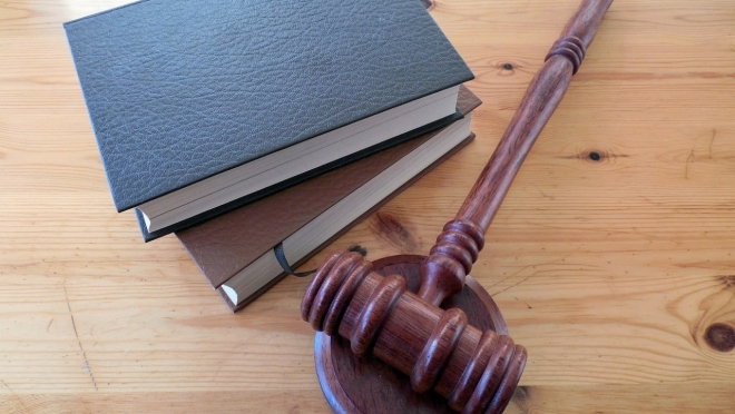 old 112986 В Мордовии владелица собаки, укусившей за голову 2-летнюю девочку, заплатит 32,9 тыс. рублей