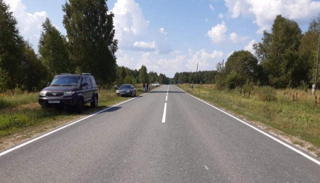 old 112991 Иномарка влетела в дерево в Зубово-Полянском районе