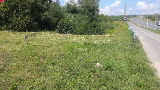 old 113010 В Саранске продолжается борьба с борщевиком