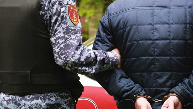 old 113046 В Саранска росгвардейцы задержали граждан, находящихся в розыске