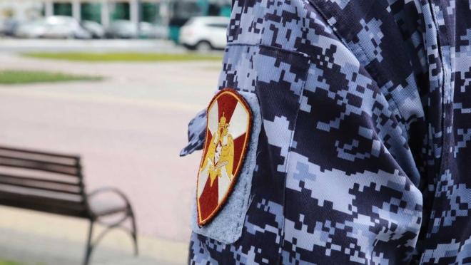 old 113097 В Саранске росгвардейцы задержали женщину по подозрению в хищении