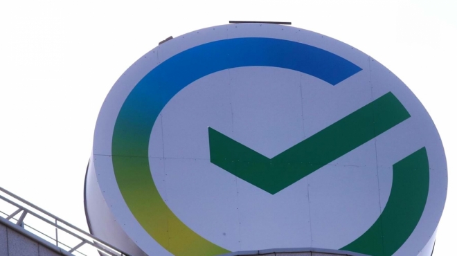 old 113167 Жители Мордовии перевели за покупки в интернете через сервис SberPay около 10 млн рублей