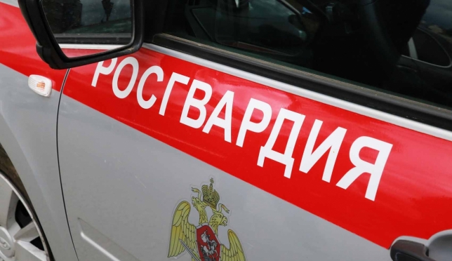 old 113246 В Саранске женщина избила посетителя бара