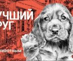 В Саранске собирают корм для бездомных кошек и собак 5 В Саранске собирают корм для бездомных кошек и собак old 113247 В Саранске собирают корм для бездомных кошек и собак