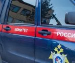 old 113307 СК Мордовии заинтересовался нападением собаки на ребенка
