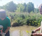 old 113311 Сточные воды в Рузаевке загрязнили почву