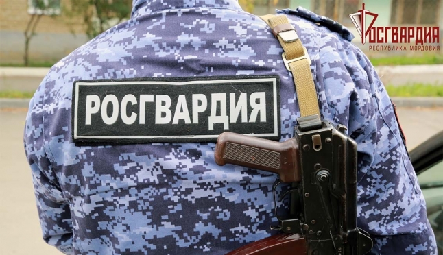 old 113391 В Зубово-Полянском районе задержали пьяного водителя