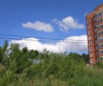 old 113419 В Рузаевке жители жалуются на «джунгли»