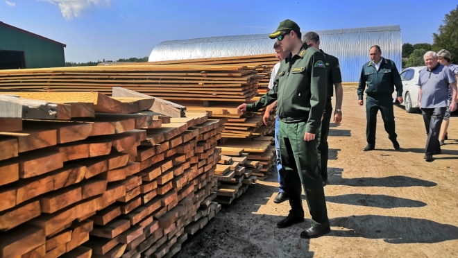 old 113440 Руководитель федерального агентства лесного хозяйства посетил Мордовию