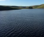 old 113477 В Мордовии ищут отца и сына, которые купались и ушли под воду