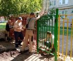 В Рузаевке стекольная компания обновляет забор детскому саду 4 В Рузаевке стекольная компания обновляет забор детскому саду old 113619 В Рузаевке стекольная компания обновляет забор детскому саду