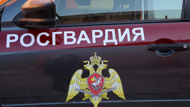 old 113719 В Мордовии даму на Mitsubishi заподозрили в нетрезвом вождении