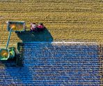 old 113752 Меньше воды на полив: ученые-аграрии изучают механизм, ведущий к экономичному использованию воды для выращивания урожая